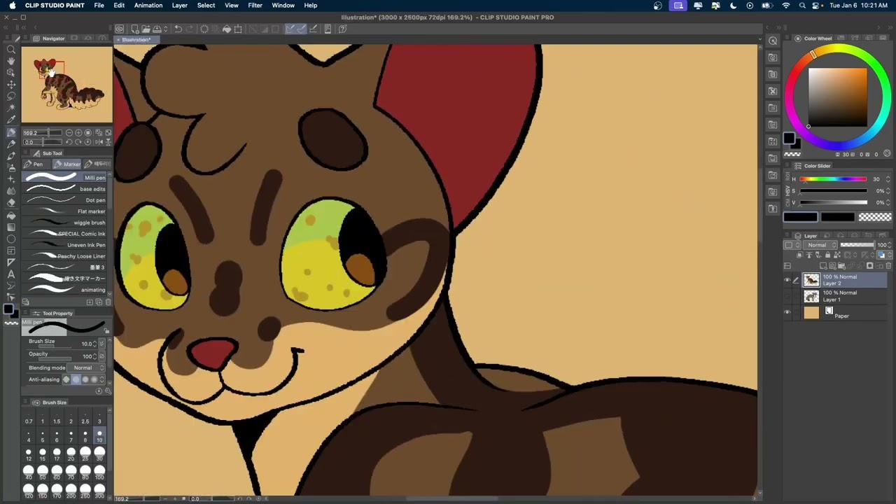 designing some warrior cats with the same prefix