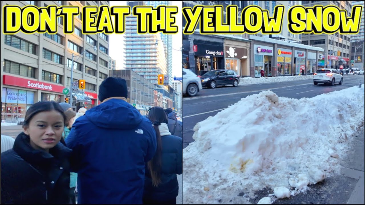 A Week Later? A Walk Along Snow Covered Sidewalks Through The University Of Toronto To Yonge Street