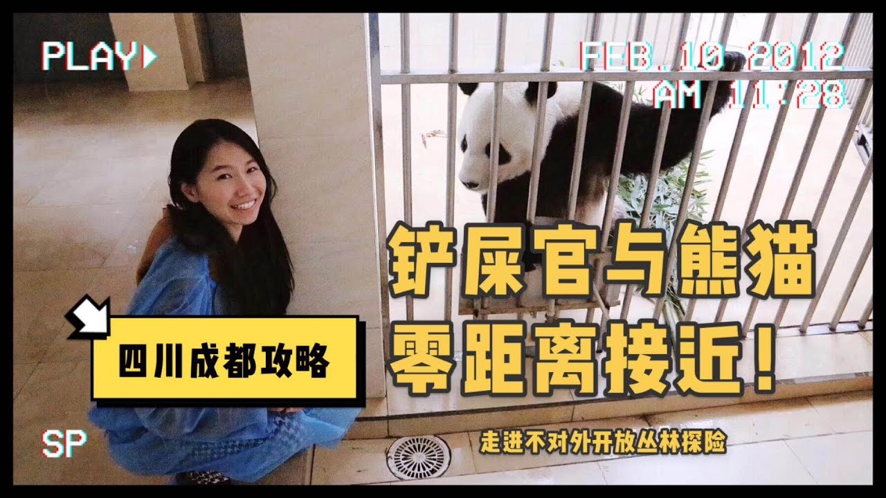 四川成都｜是熊貓還是貓熊?｜跟著臥龍自然保護區的護林人一起走進不對外開放的叢林探險｜灣妹與大熊貓零距離接觸，體驗當半日鏟屎官｜熊貓太可愛！