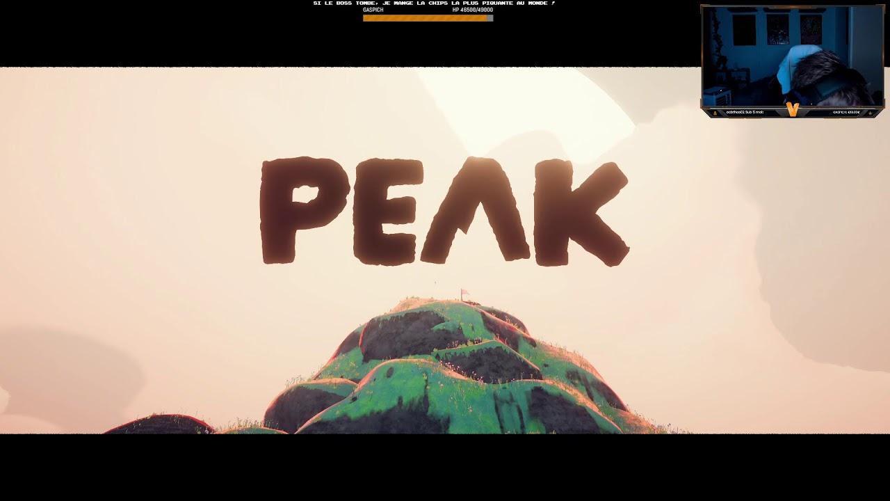 L'ascension est longue, la chute est drôle | Peak | !discord