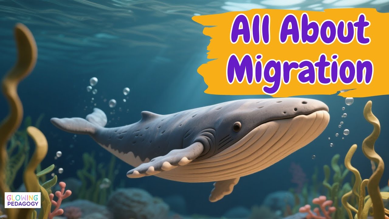 Почему животные мигрируют зимой | Объяснение миграции