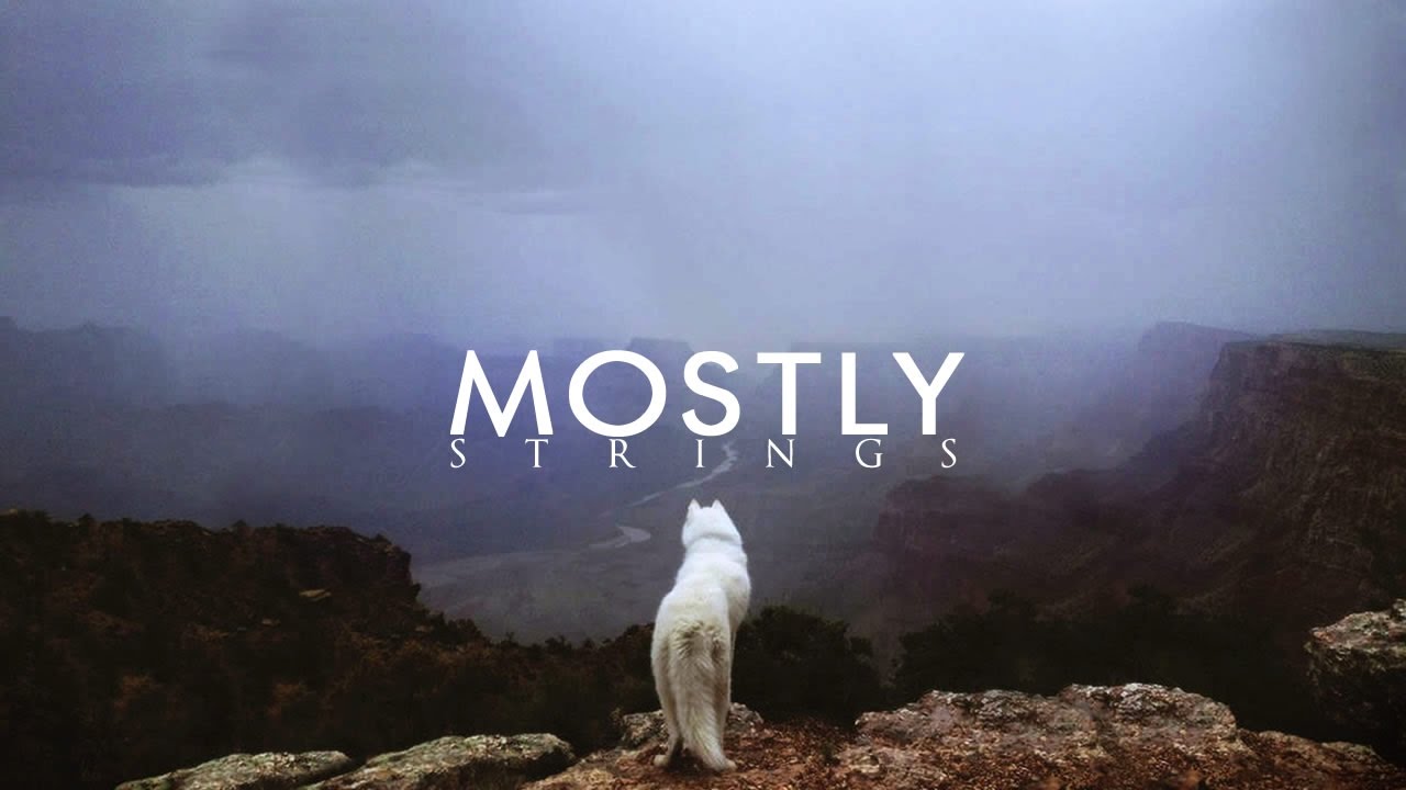 Maldito - Wolves