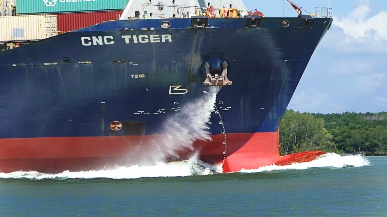 Maritime Marvels - Stunning Ship Activity in Saigon’s Waters #shipspotting