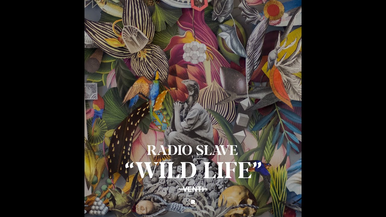Radio Slave - Wild Life (Disco Mix)