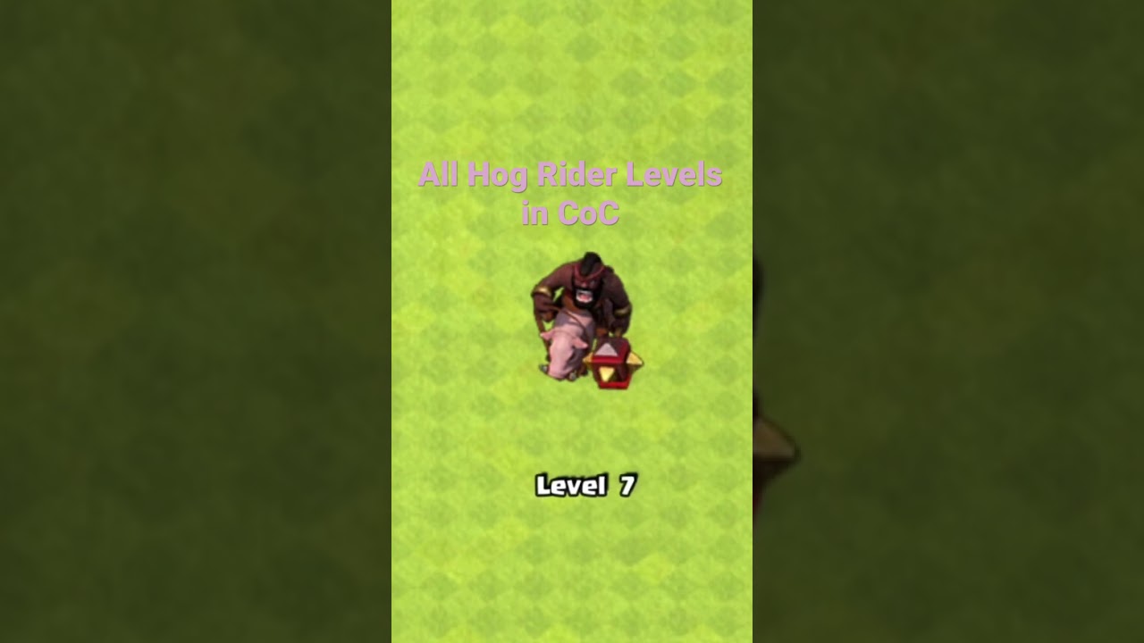 All Hog Rider levels in Clash of Clans