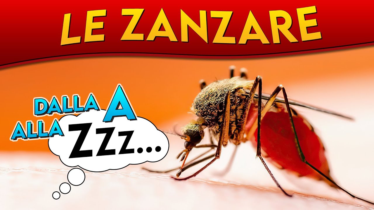 Le Zanzare dalla A alla Zzz ► Puntata 28
