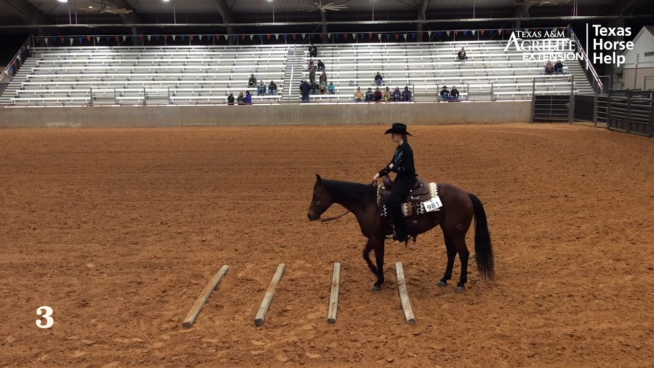 Judging in June 2020 Week 1: Ranch Riding