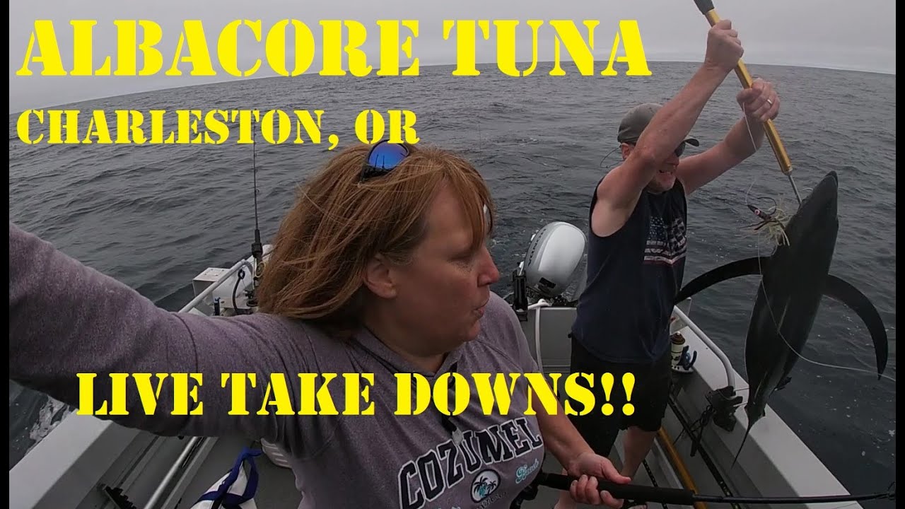HOT! 2021 Pacific ALBACORE TUNA fishing from Charleston Oregon!! All ROD & REEL line caught ACTION!!