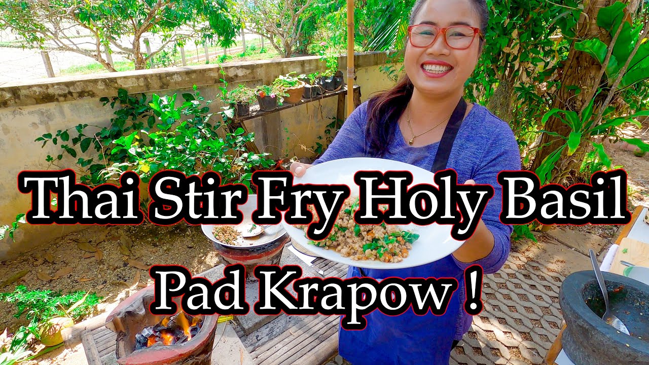 Pad Krapow ! Thai Stir Fried Holy Basil with Pork.