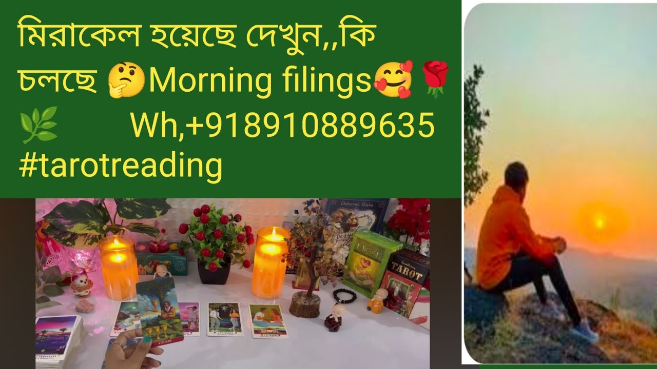 মিরাকেল হয়েছে দেখুন,,কি চলছে 🤔Morning filings🥰🌹🌿        Wh,+918910889635 #tarotreading #astrology 