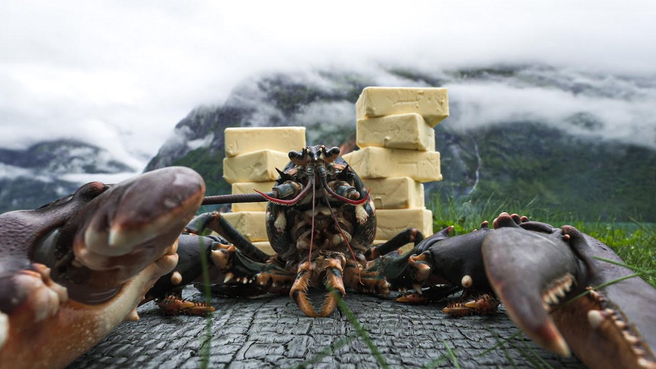 Гигантский лобстер, приготовленный в огромной кастрюле с маслом 🦞🧈🔥 Outdoor Cooking