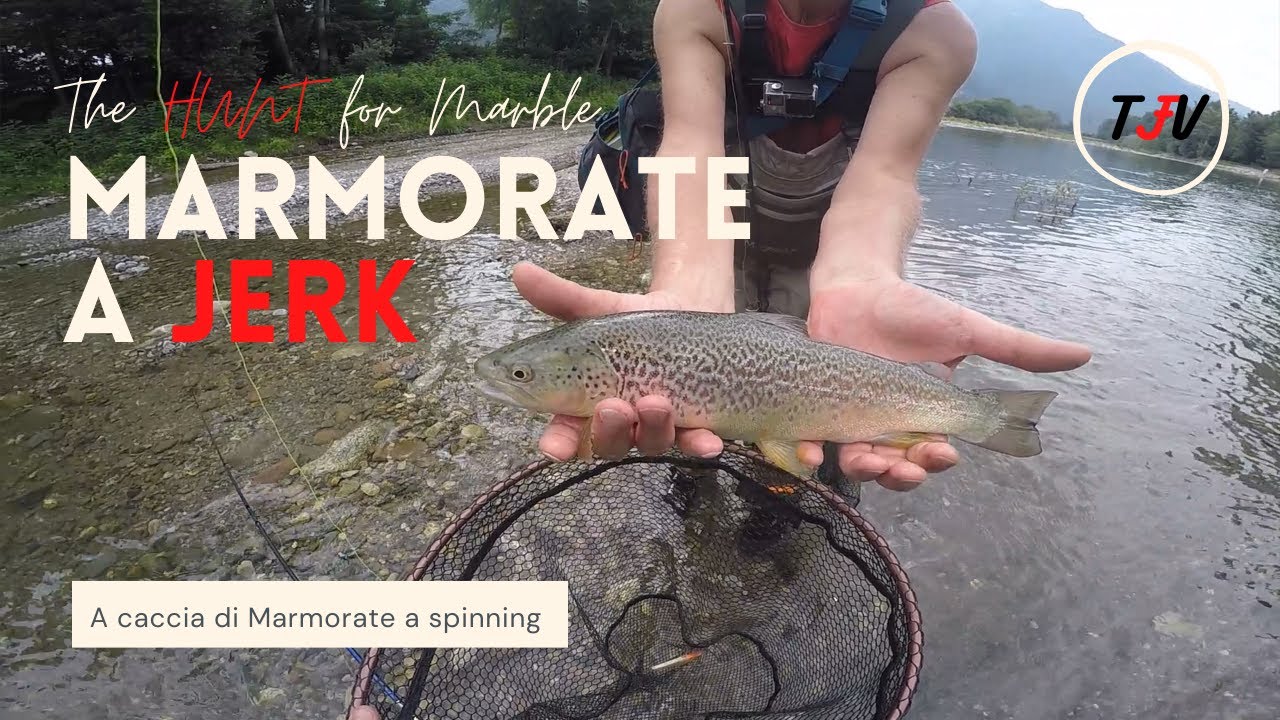 TROTE MARMORATE a JERKBAIT - The HUNT for the MARBLE. 4K
