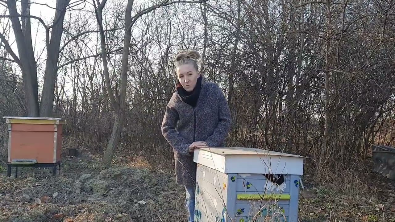 Dlaczego ule warszawskie poszerzane - Pasieka Dziki Ogród #1