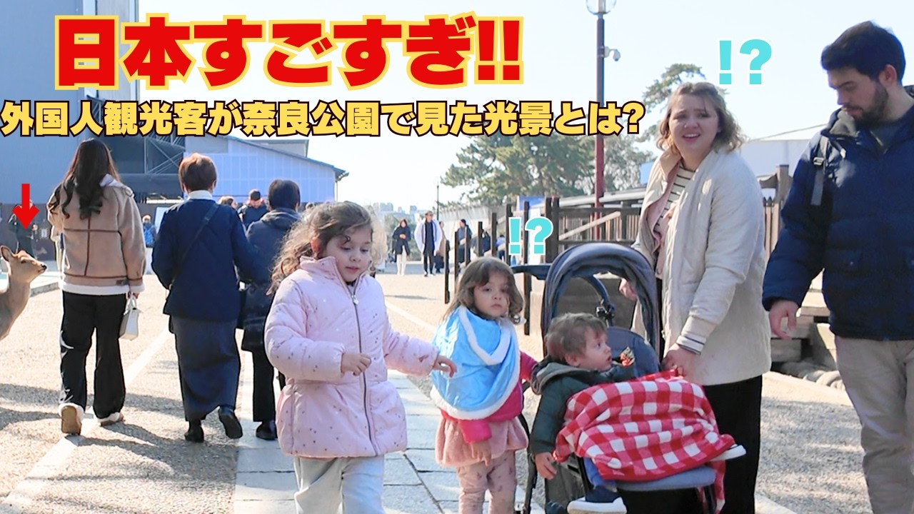 【奈良公園】日本すごすぎ!! 外国人家族も驚き!
