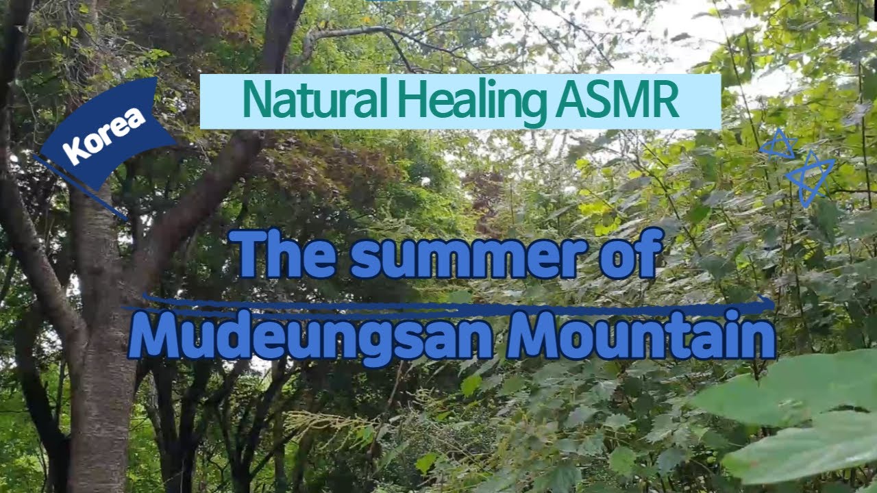 [Korea Natural Healing ASMR / 5 minutes] the summer of Mudeungsan Mountain