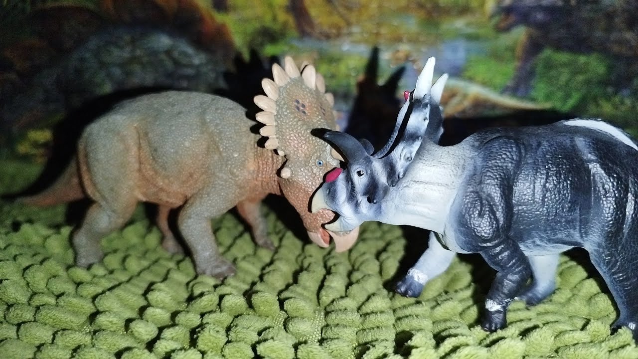 Regaliceratops VS Xenoceratops 