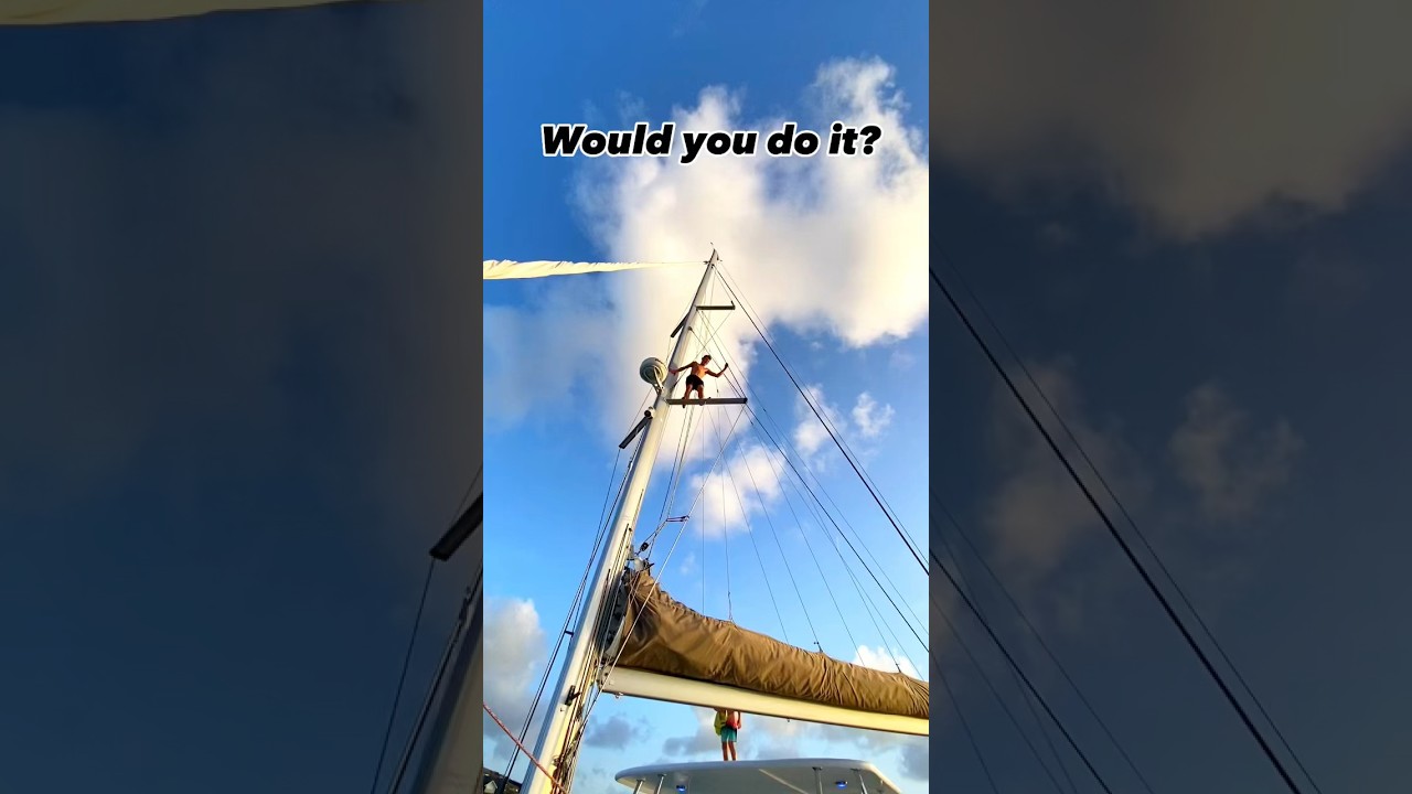 jumping off the spreaders 🫣 #sailing #sailboat #travel #ocean #adventure #teen #viral #boatlife