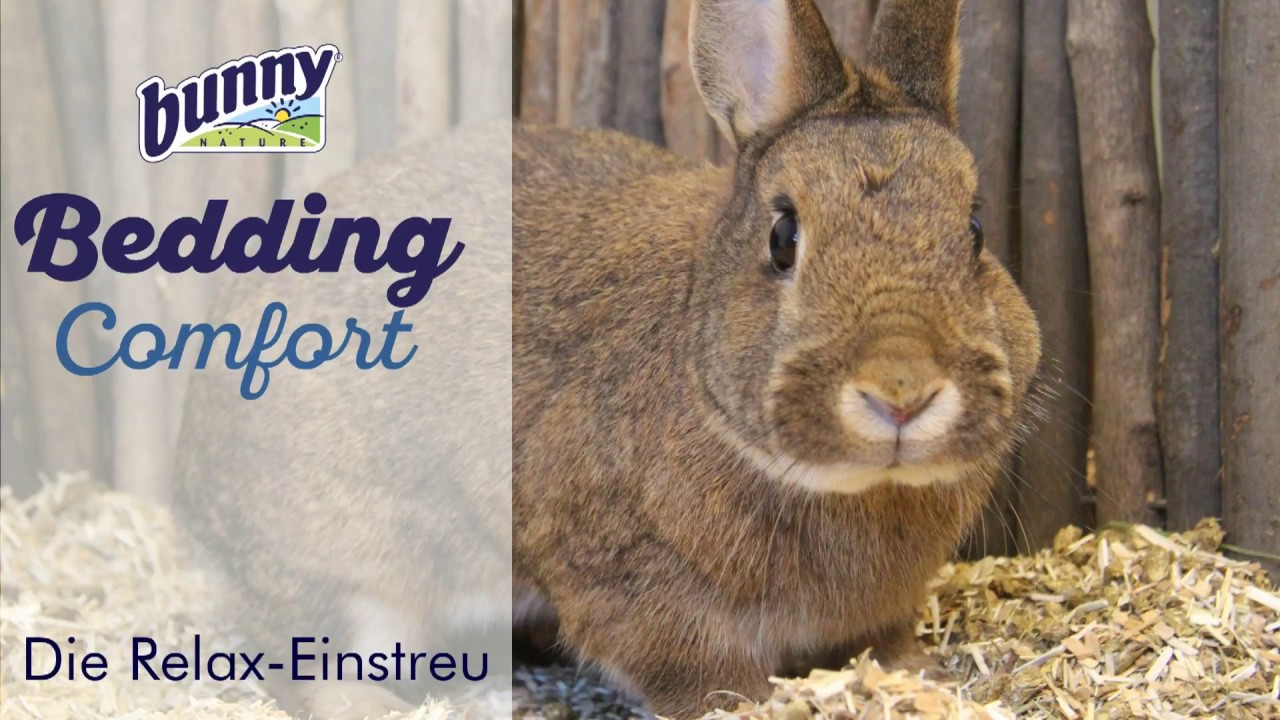 Bunny Nature Bedding Comfort