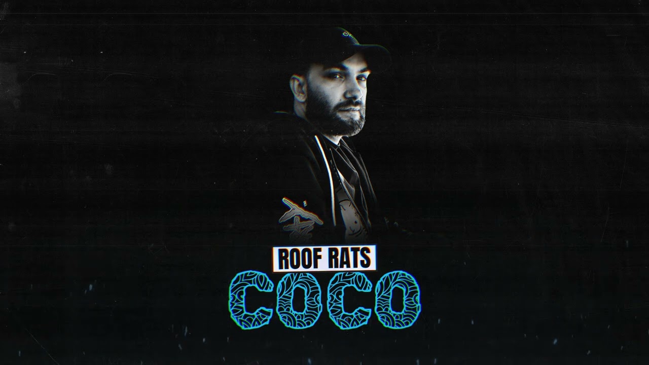 Szczury dachowe - COCO