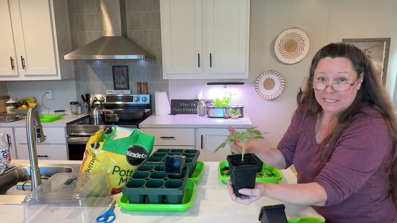 Starting seedling indoors Using VEGO Garden 4 Tier Grow light/Zone 7 Start cool weather seeds Now