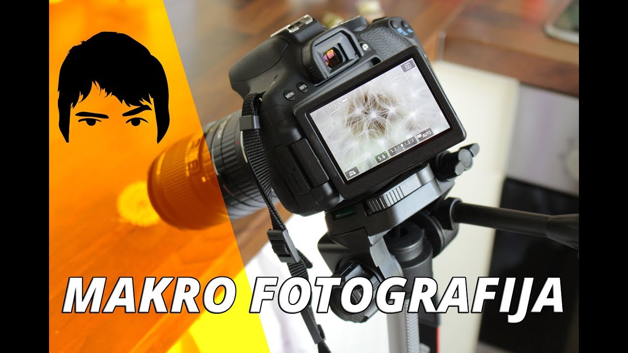 Uvod u Digitalnu fotografiju #2 - Makro