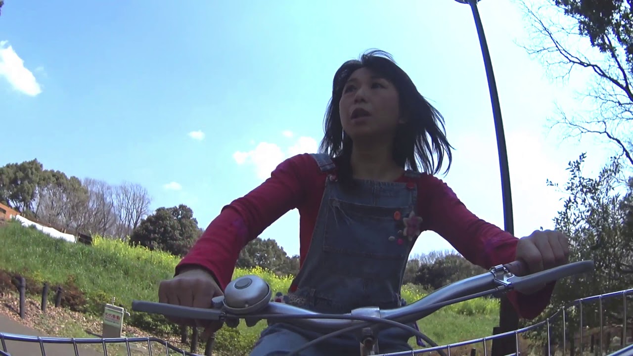 沢田聖子　太陽の彼方