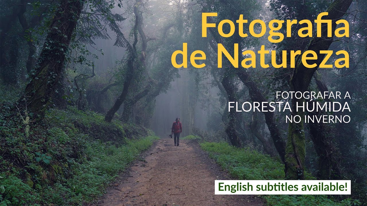 FOTOGRAFAR A FLORESTA HÚMIDA NO INVERNO | FOTOGRAFIA DE NATUREZA