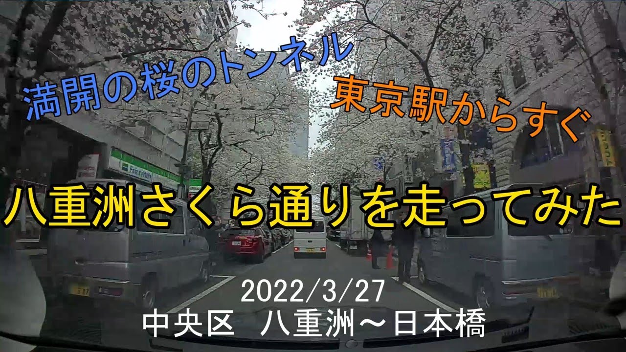 【東京桜並木】八重洲さくら通りを走ってみた