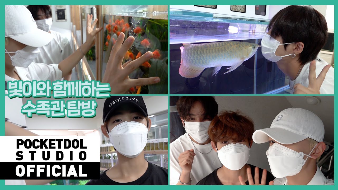 [FLY173] EP.5 빛이와 함께하는 수족관 탐방🐠 | 배추쌈네 수족관 친구들 소개 | 수족관VLOG (ENG)