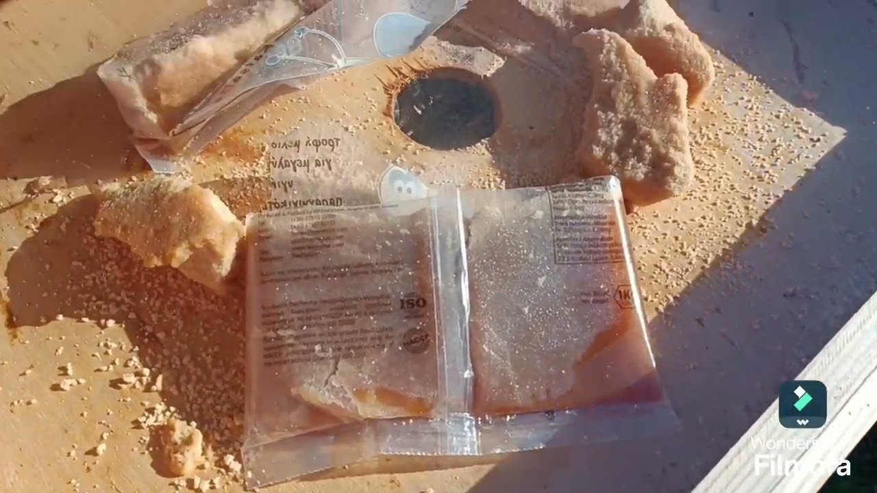 299-PRIMERA REVISIÓN ENERO 2025.