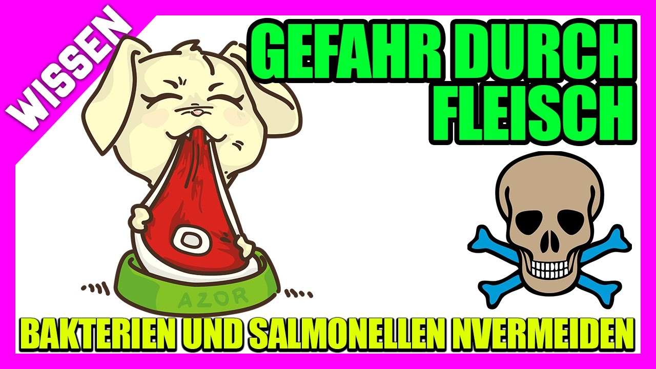 GEFAHR⛔durch Eier in Milch 🥛Bakterien, Salmonellen und Pestizide