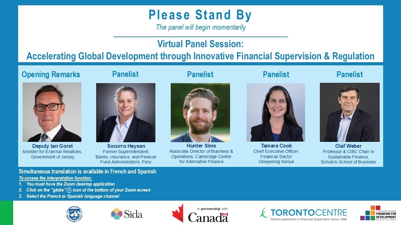 Virtual Panel: Accelerating Global Development through Innovative Financial Supervision & Regulation