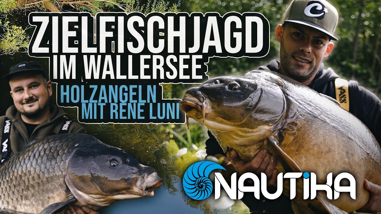 26 kg Zielfischjagd im Wallersee - Holzangeln mit Rene Luni - #nautikabaits #angeln #karpfenangeln