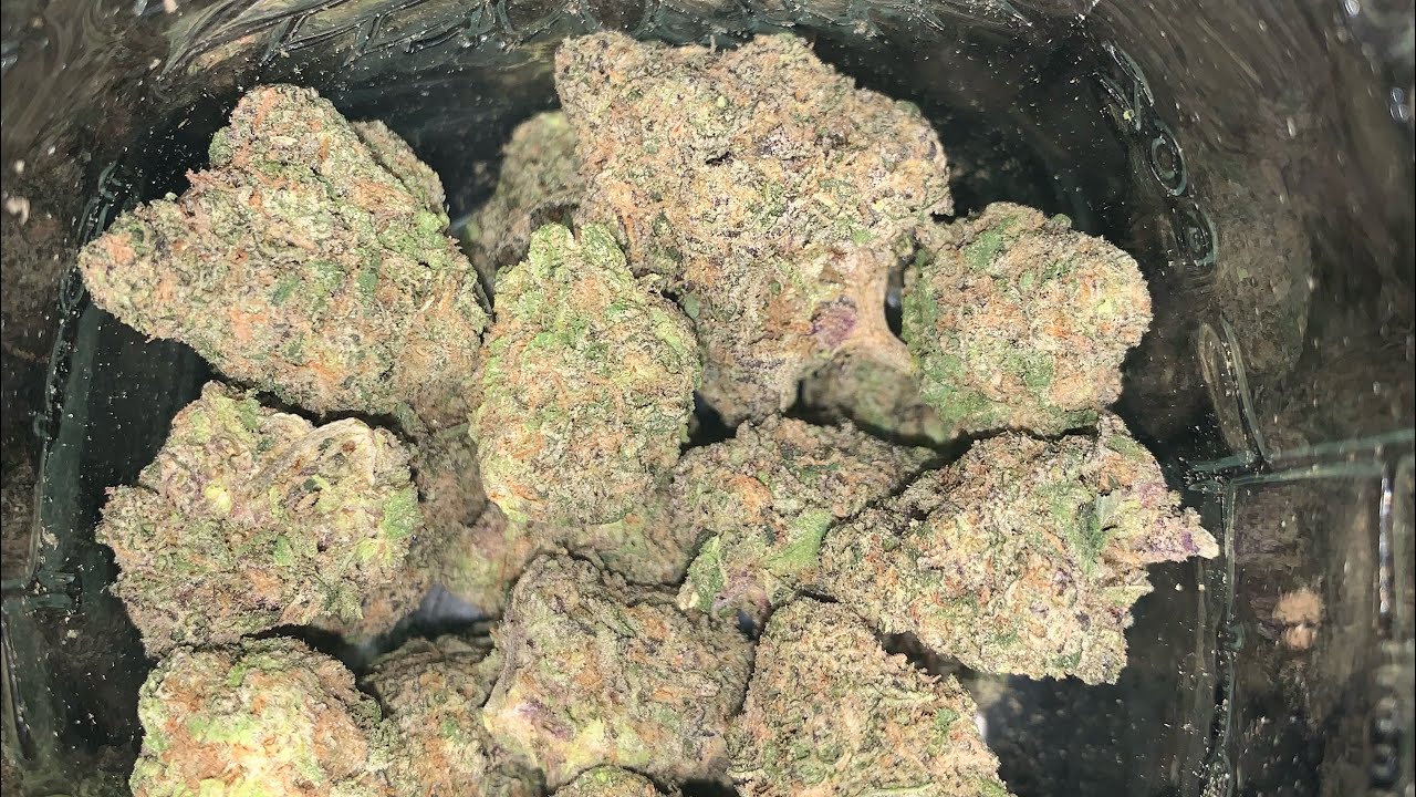 Gush Mints Strain Review