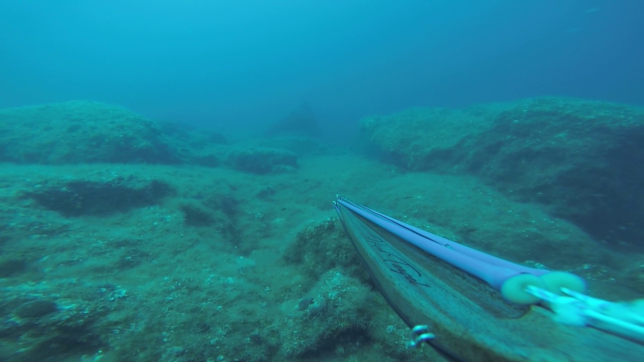 HARD TARGET SPEARGUNS