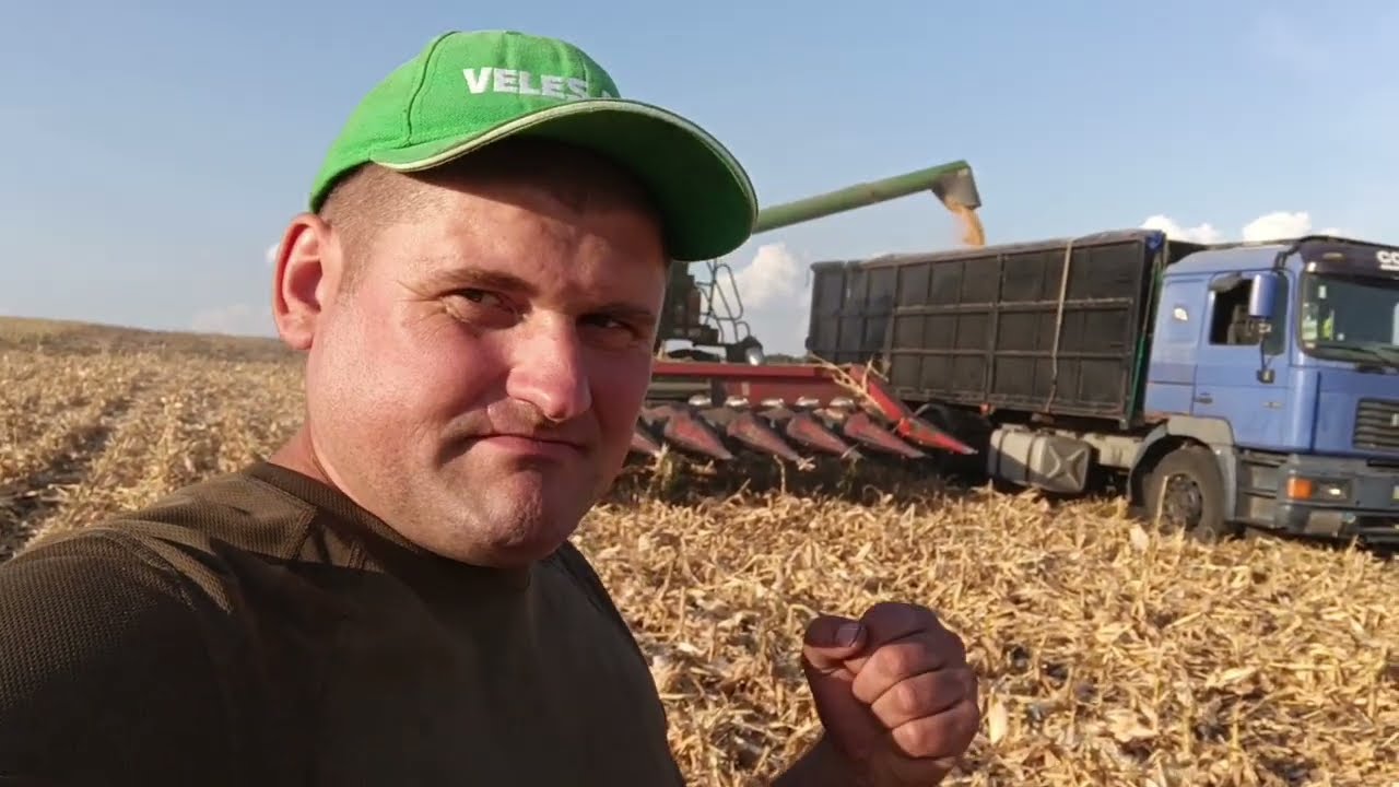 Кукурудза Агро-Ритм АР 18101К в лідерах в 2024р. базова волога 👍дощ добавив 2-2.5% збираємо 13.5%