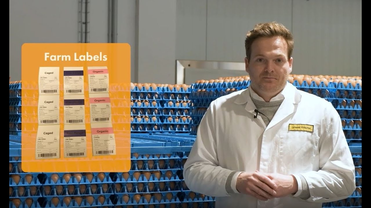 Ovotrack Solution - Farm Label Printing