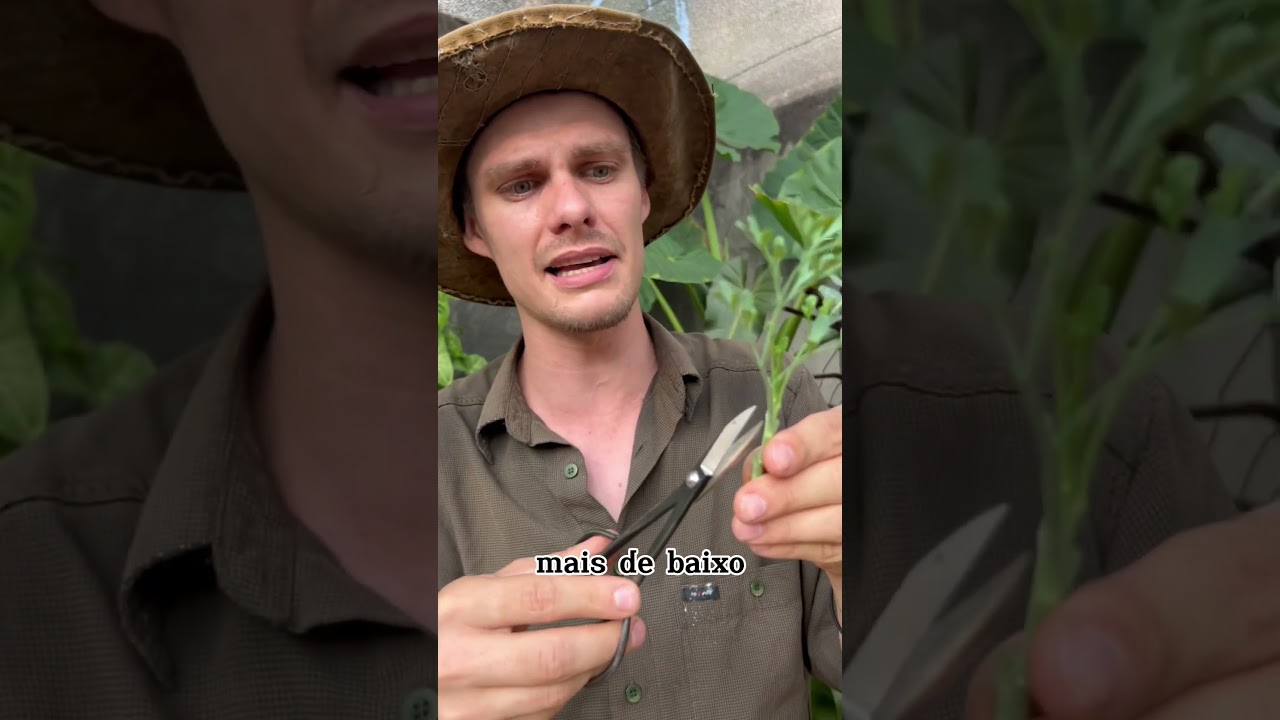 Arruda sem segredo