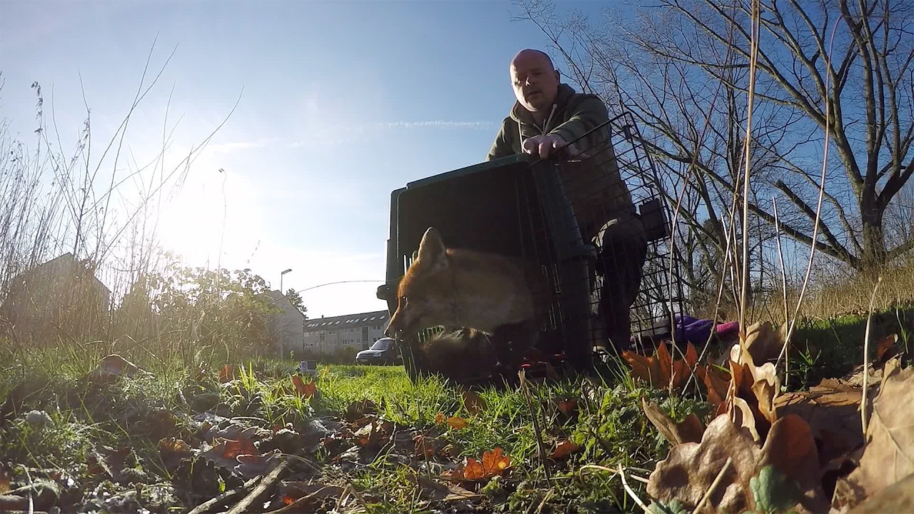 GoPro: Urban Animal Rescuer Stefan Brockling