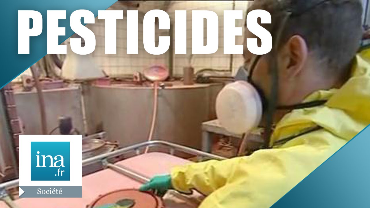 Gaucho et Régent, les pesticides tueurs | Archive INA