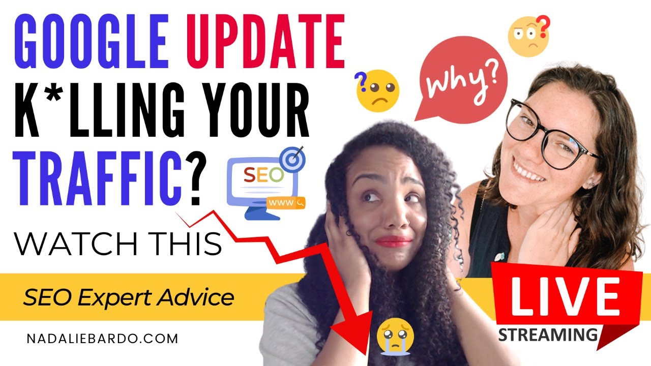 Google Organic Search Traffic Drop Fix with SEO Expert