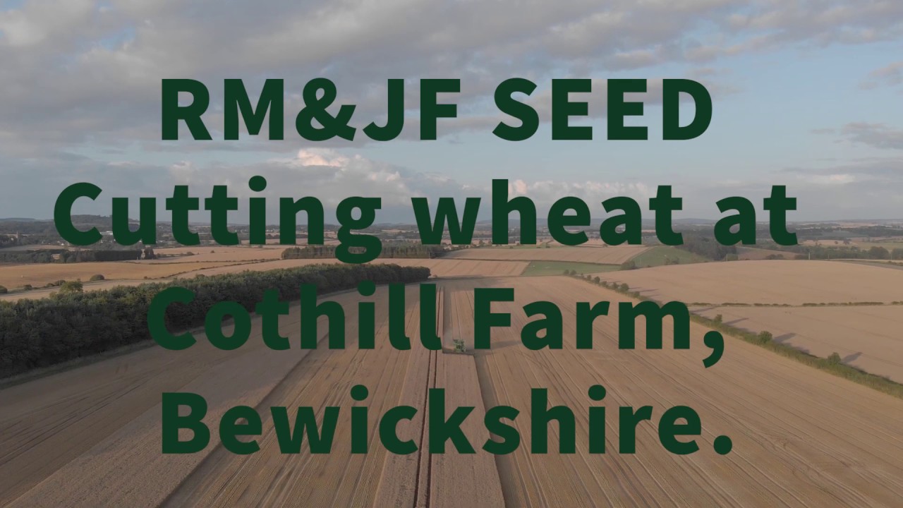 R.M & J.F. Seed. Cothill Farm. Wheat Harvest.