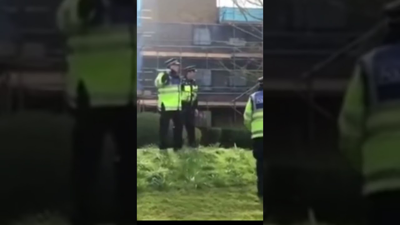 Police vs hooligans #hooligansworld #footballchants #football #policefight #fighting