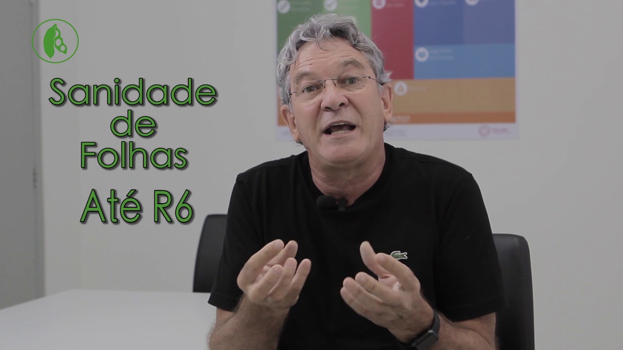 Dicas Mais Soja: Componentes de produtividade da soja