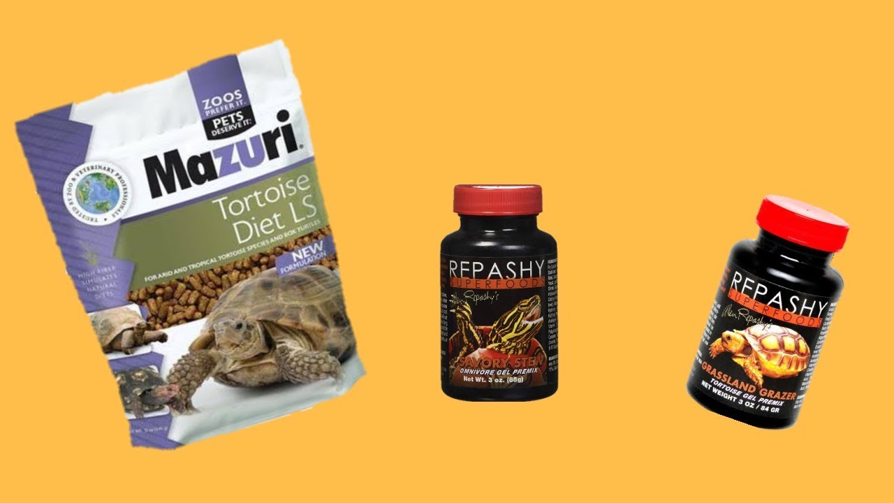 como preparar repashy superfoods / savory stew - grassland grazer