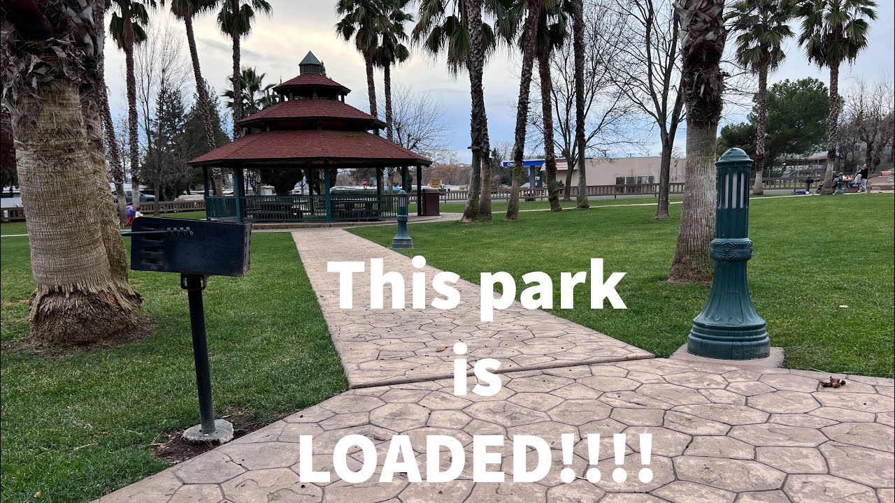 Nokta Makro Simlex with sp24 coil kills it in trashy parks!