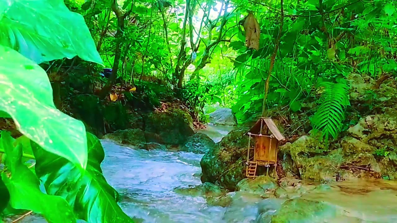 The beautyof landscapes that soothe thesoul remind us of the wonders of creation