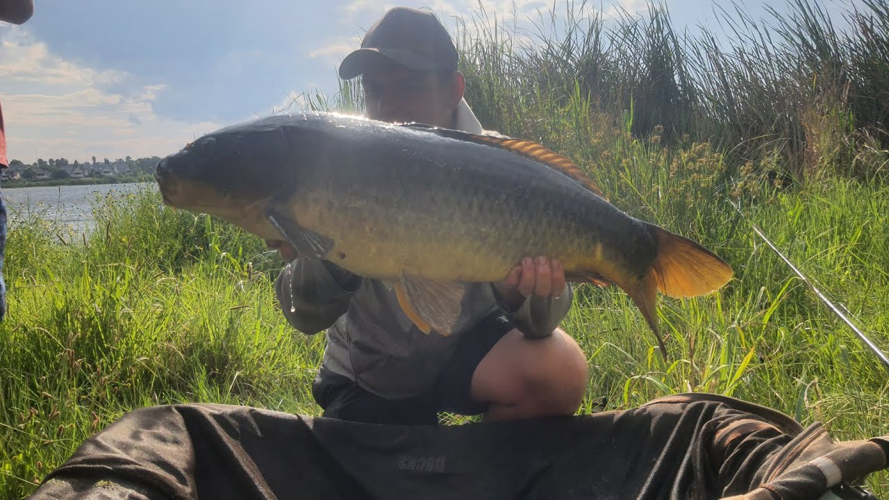 🔥 Specimen carp fishing Homestead Dam benoni🔥