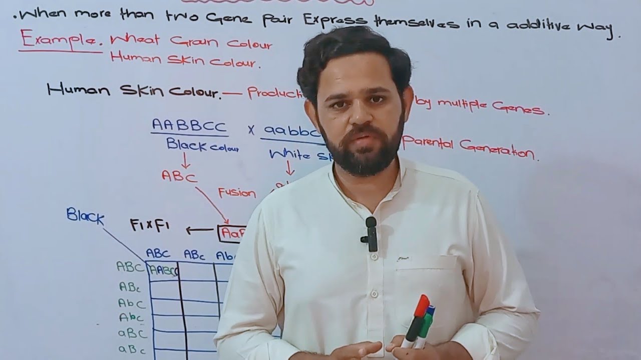 Inheritance | Polygenic Inheritance | Human Skin Color | Class 11 | NBF | FBISE