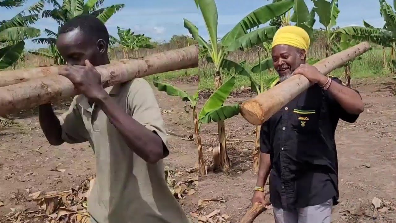 Team work putting up a fence in Uganda 🇺🇬